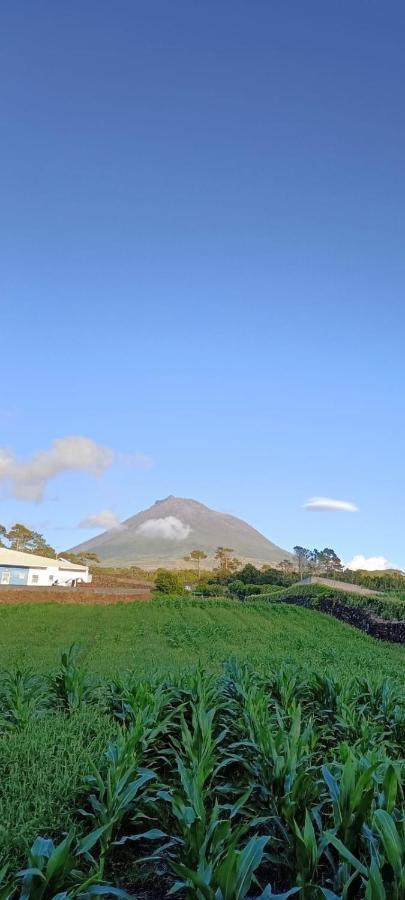 Dream View In Pico Villa Criacao Velha Exterior photo